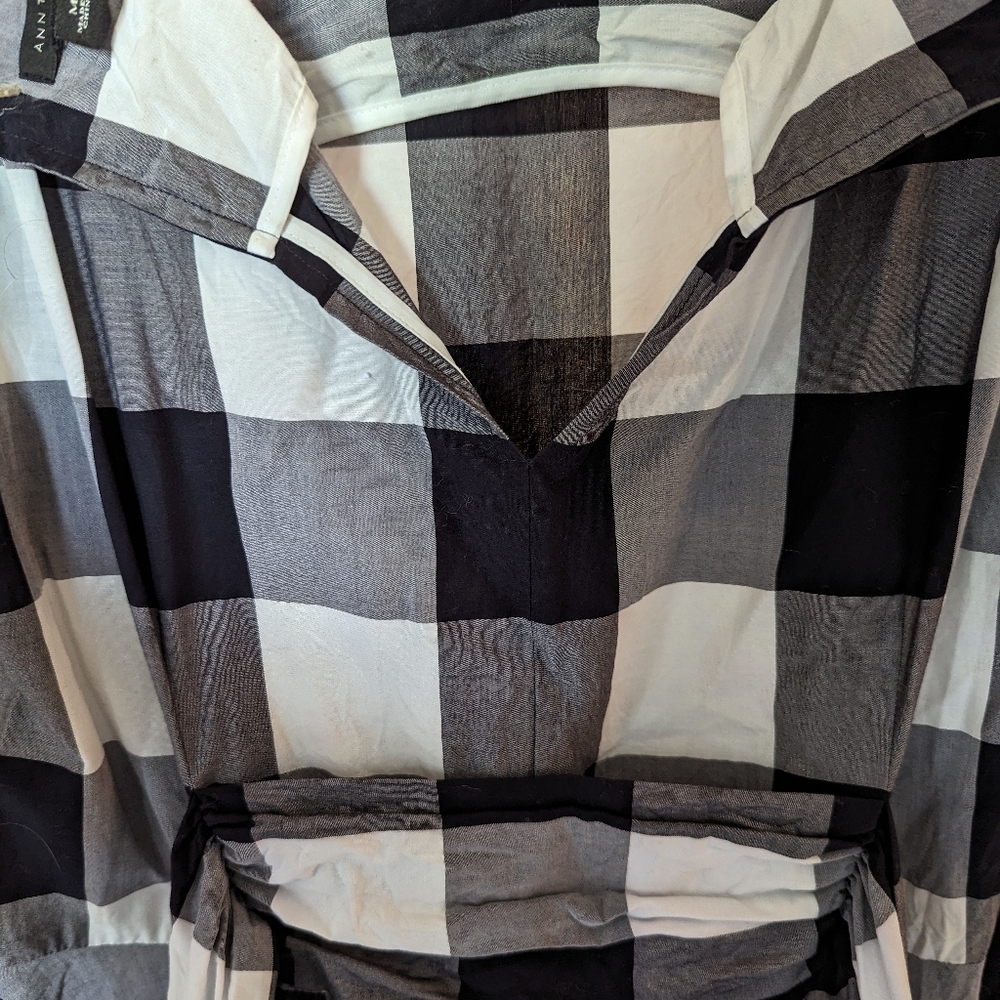 Ann Taylor Tea Length Dress (Medium)